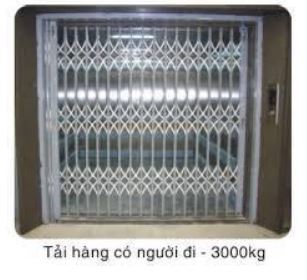 Thang nâng hàng - Cầu Trục Và Cổng Trục Thuận Thành - Công Ty TNHH Sản Xuất Cơ Khí Thuận Thành